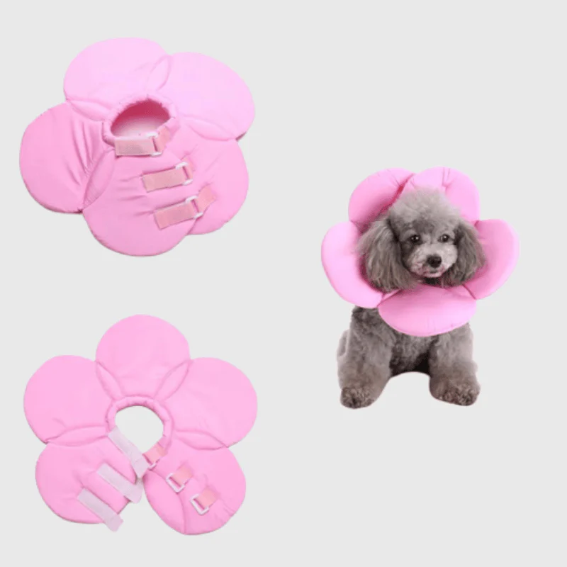 Collerette petit chien – Image 3