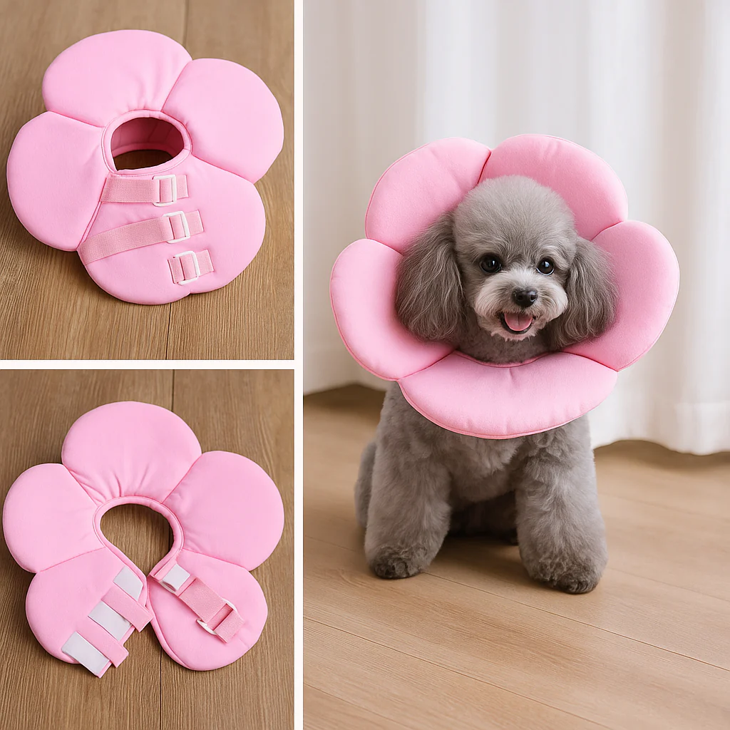 Collerette petit chien