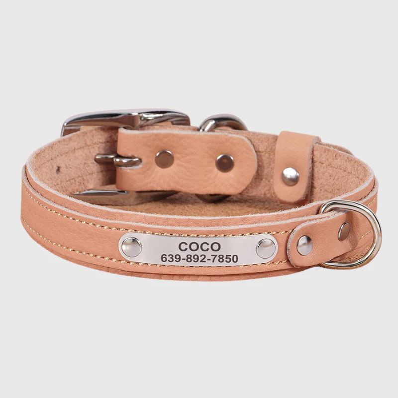 Collier pour petit chien personnalisé