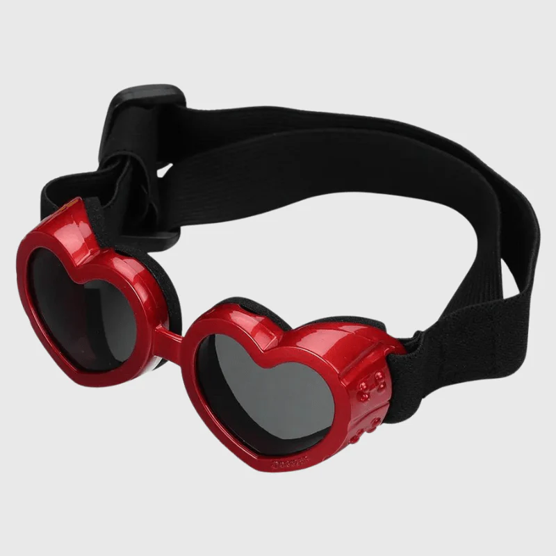 Lunette de protection pour petit chien en forme de cœur – Image 7