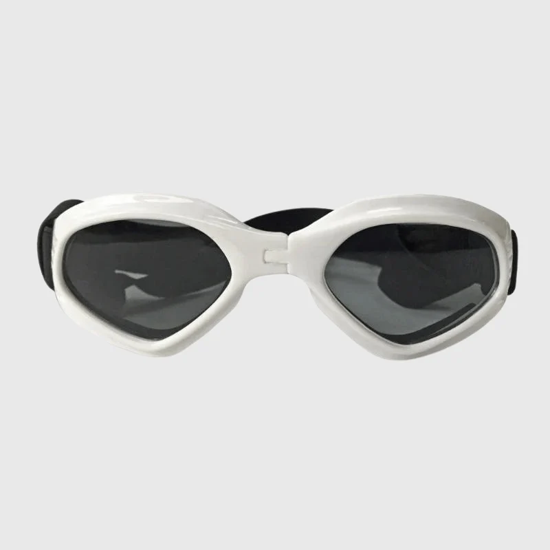 Lunette de soleil pour chien – Image 4