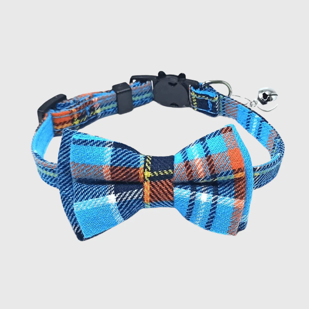 Noeud Papillon Grand Chien – Image 9
