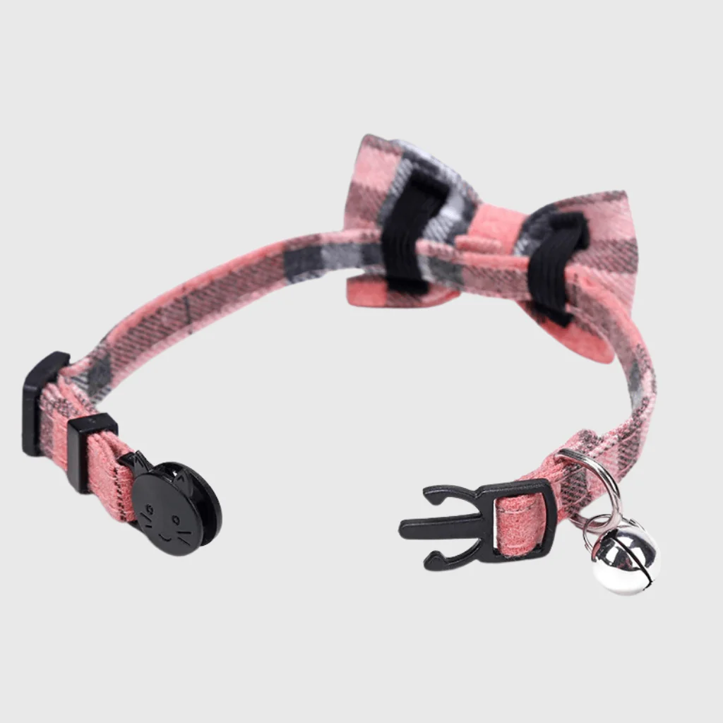 Noeud Papillon Grand Chien – Image 4