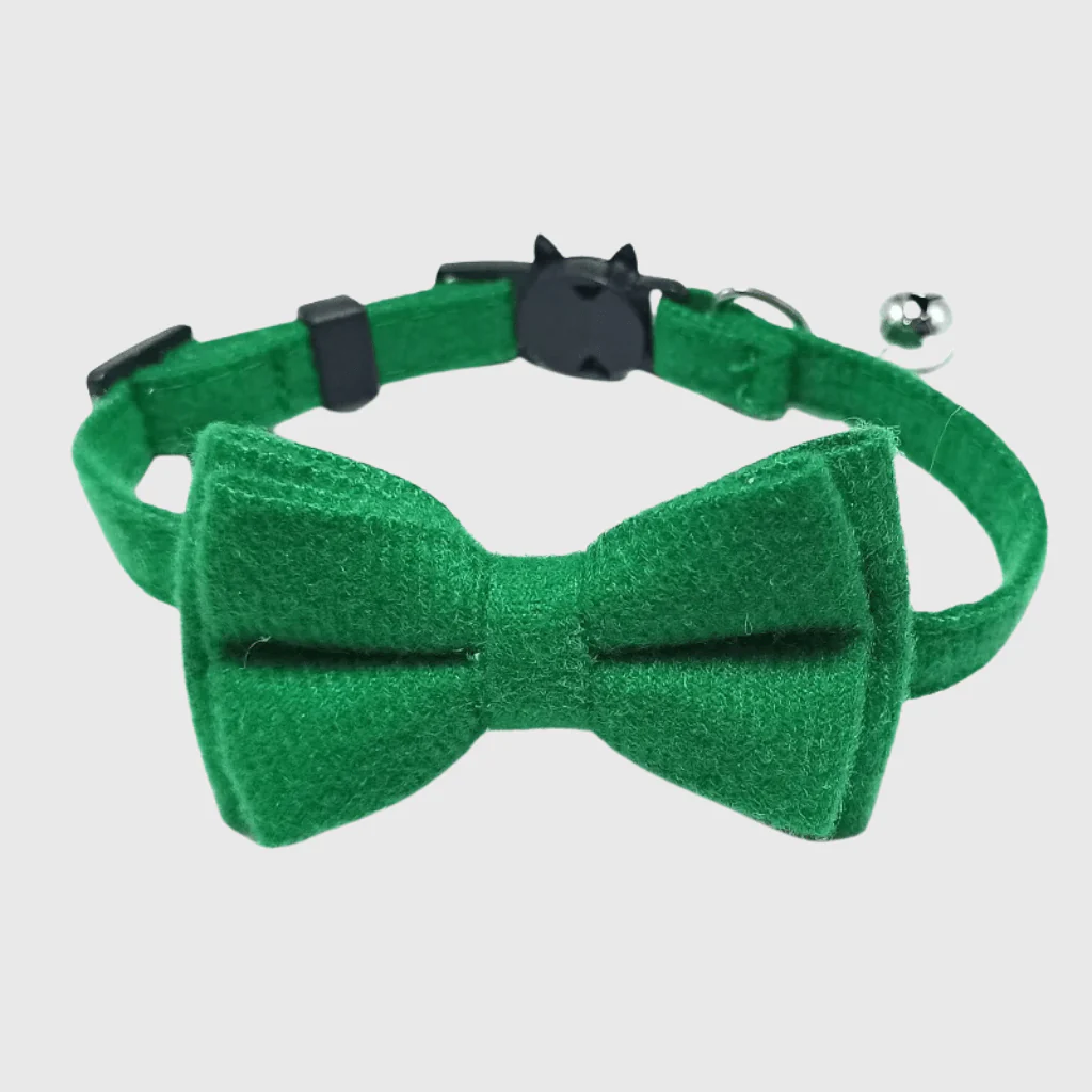 Noeud Papillon Grand Chien – Image 8