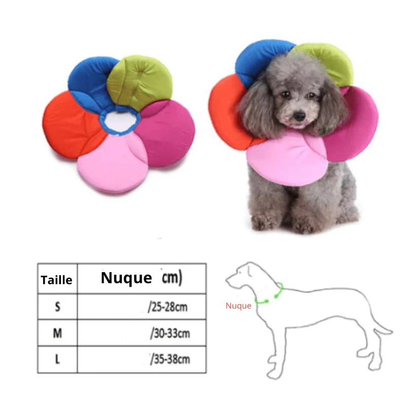 Collerette chien en forme de fleur violette – Image 2