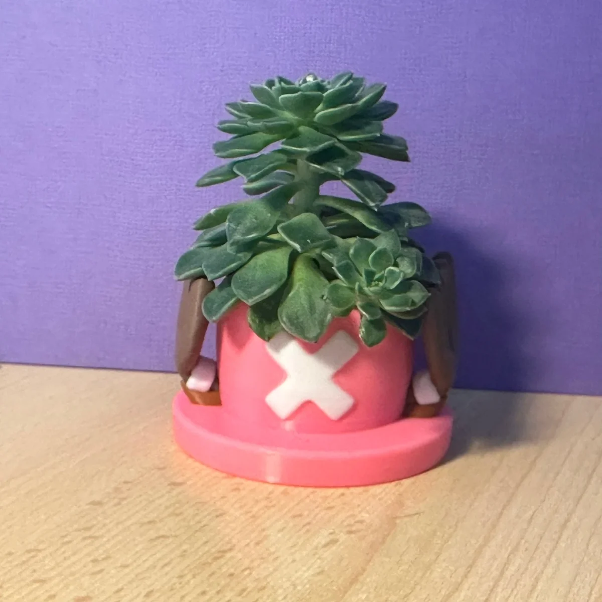 Pot de fleurs Tony Chopper de One Piece