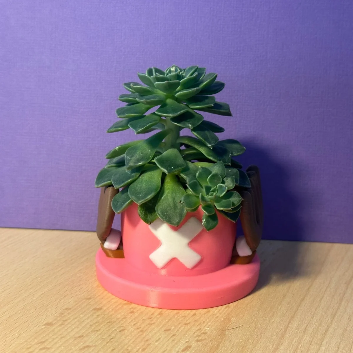 Pot de fleurs Tony Chopper de One Piece – Image 4