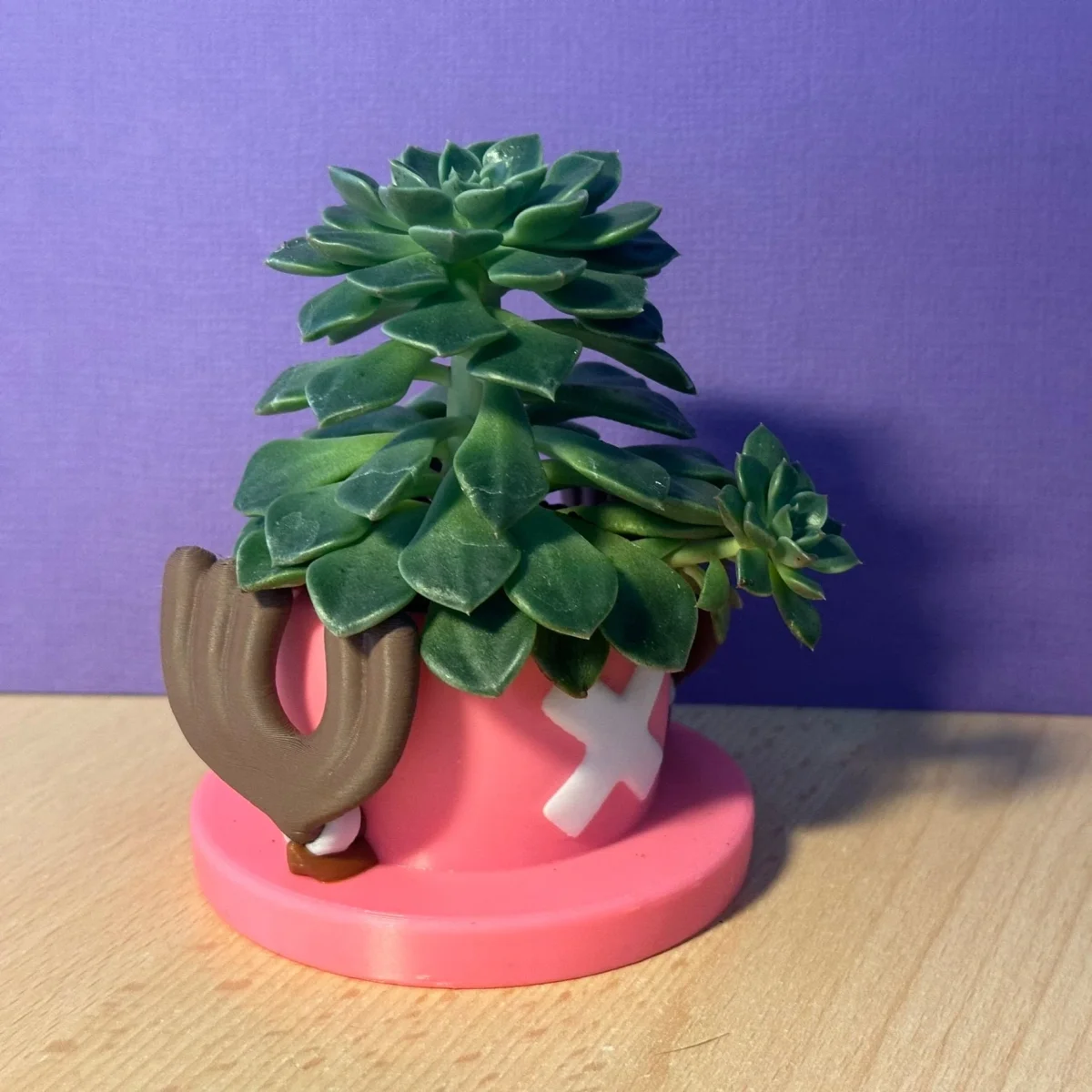 Pot de fleurs Tony Chopper de One Piece – Image 3